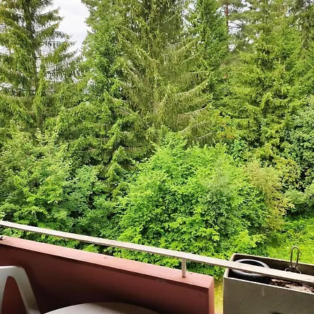 Apartment Romantik Bollenhut Superior Lenzkirch